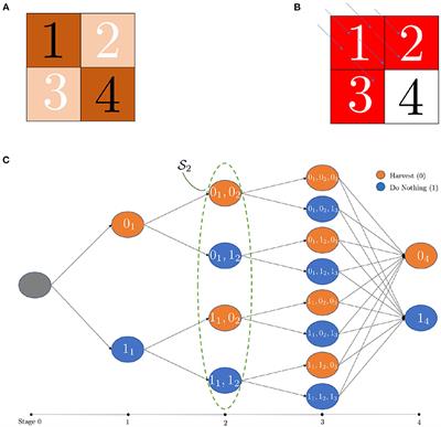 Large-Scale Wildfire Mitigation Through Deep Reinforcement Learning